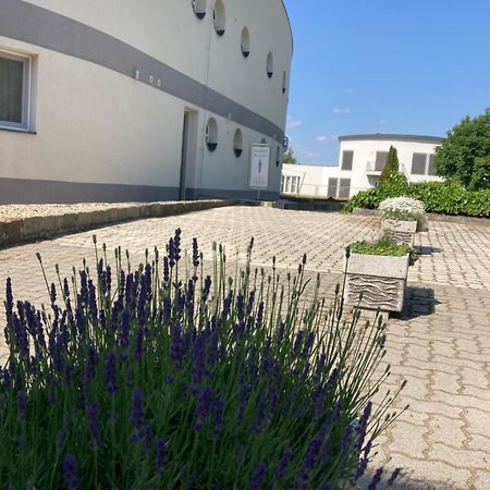 Nautilus Etterem Es Panzio Hotel Dabas Buitenkant foto